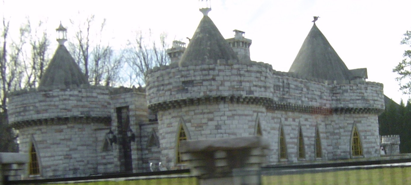 Click the castle to search the FMLS database of homes to find YOUR castle today!